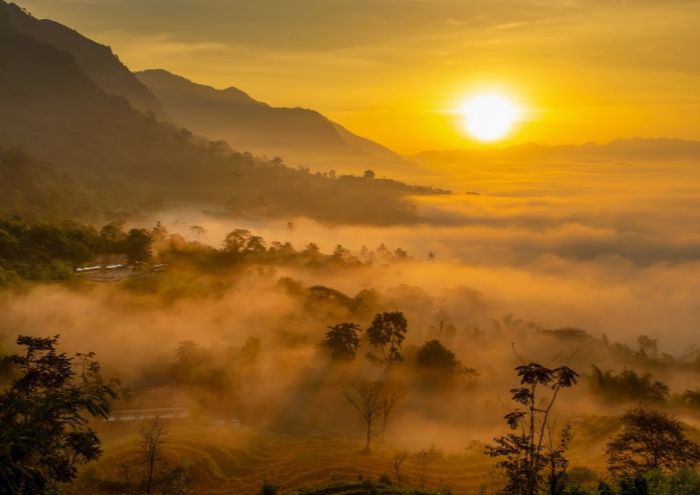 Step Into Nature’s Embrace: Avana Retreat, Vietnam